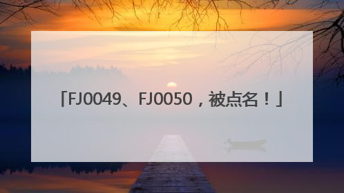 FJ0049、FJ0050，被点名！